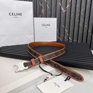 Official website style  Celine  2020 Spring Summer? New Arc de Triomphe logo