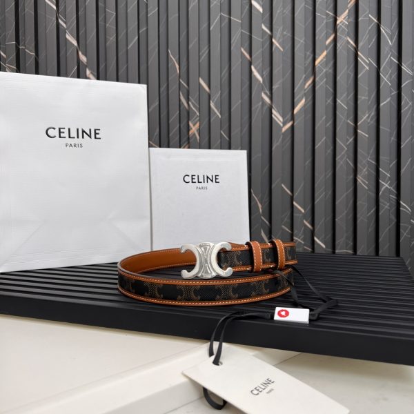 Official website style  Celine  2020 Spring Summer? New Arc de Triomphe logo - Image 2