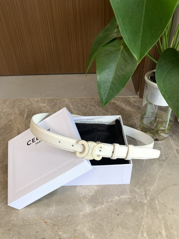 Official website style  Celine  2020 Spring Summer? New Arc de Triomphe logo