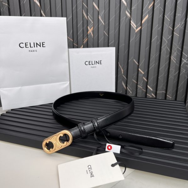 Official website style  Celine  2020 Spring Summer? New Arc de Triomphe logo - Image 9