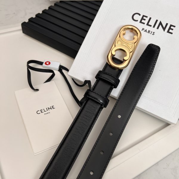 Official website style  Celine  2020 Spring Summer? New Arc de Triomphe logo - Image 6